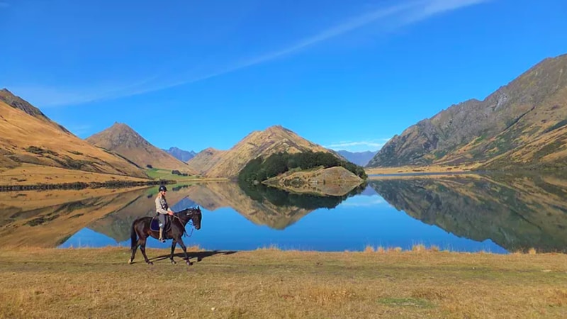 A relaxed paced horse trek through beautiful farmland to the shores of Moke Lake...